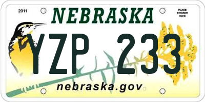 NE license plate YZP233