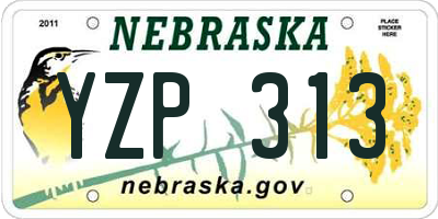 NE license plate YZP313
