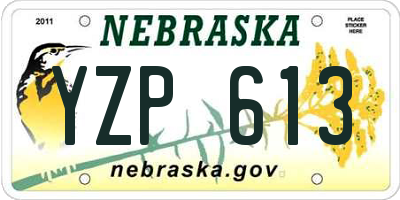 NE license plate YZP613