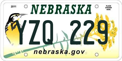 NE license plate YZQ229