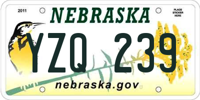 NE license plate YZQ239