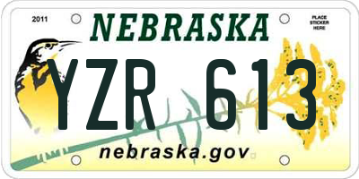 NE license plate YZR613