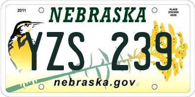 NE license plate YZS239