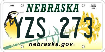 NE license plate YZS273