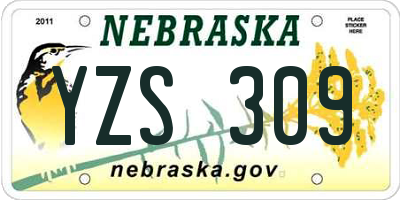 NE license plate YZS309