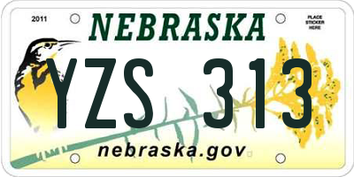 NE license plate YZS313