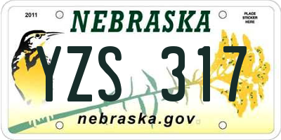NE license plate YZS317