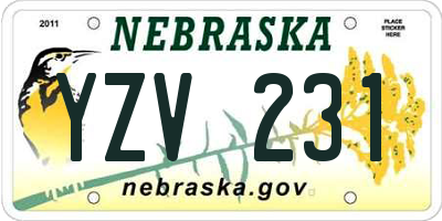 NE license plate YZV231