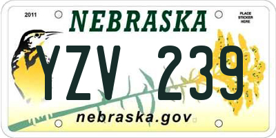NE license plate YZV239