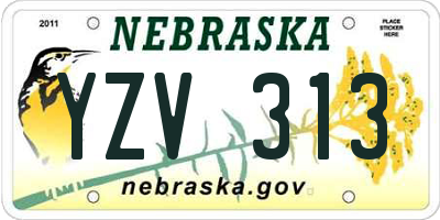 NE license plate YZV313