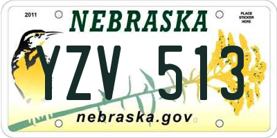 NE license plate YZV513