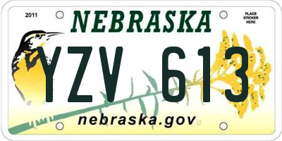 NE license plate YZV613