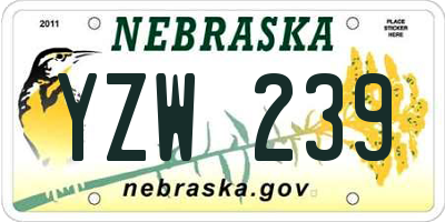 NE license plate YZW239