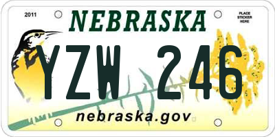 NE license plate YZW246