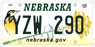 NE license plate YZW290
