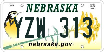 NE license plate YZW313