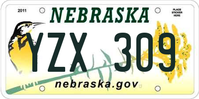 NE license plate YZX309