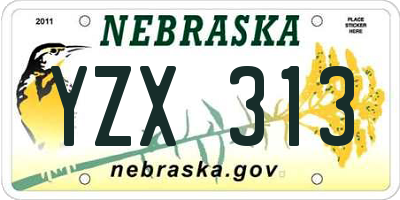 NE license plate YZX313