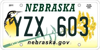 NE license plate YZX603