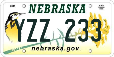 NE license plate YZZ233