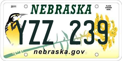 NE license plate YZZ239