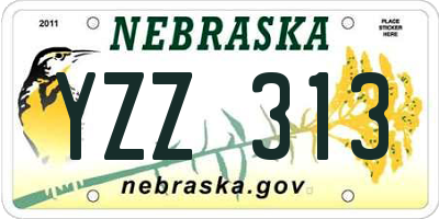NE license plate YZZ313