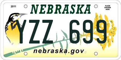 NE license plate YZZ699