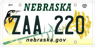 NE license plate ZAA220