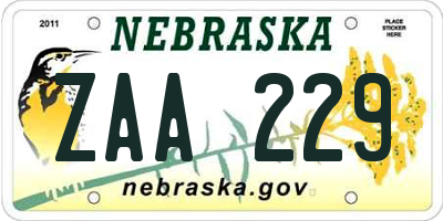 NE license plate ZAA229