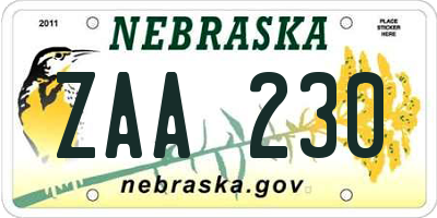 NE license plate ZAA230