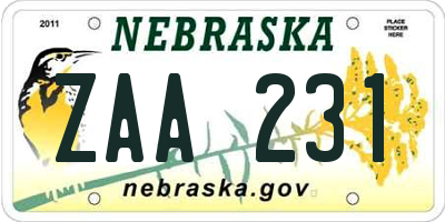 NE license plate ZAA231