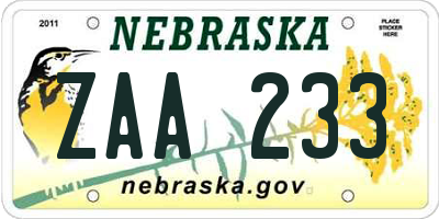 NE license plate ZAA233