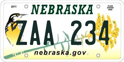 NE license plate ZAA234