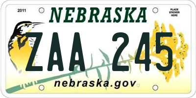 NE license plate ZAA245