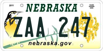 NE license plate ZAA247