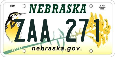 NE license plate ZAA271