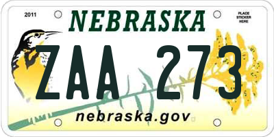 NE license plate ZAA273