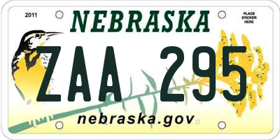 NE license plate ZAA295