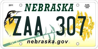 NE license plate ZAA307