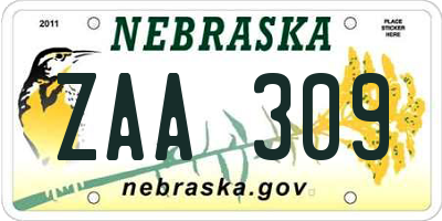 NE license plate ZAA309