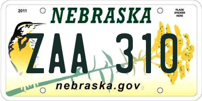 NE license plate ZAA310