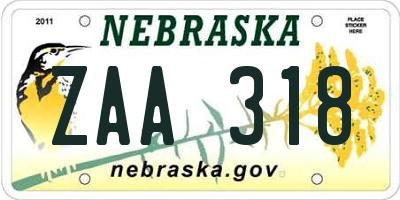 NE license plate ZAA318