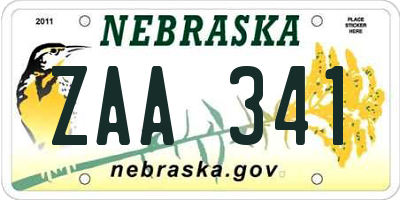 NE license plate ZAA341