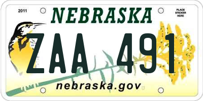 NE license plate ZAA491