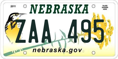 NE license plate ZAA495