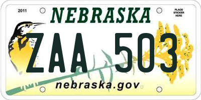 NE license plate ZAA503