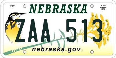 NE license plate ZAA513