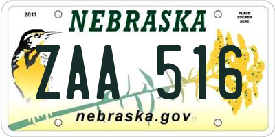 NE license plate ZAA516