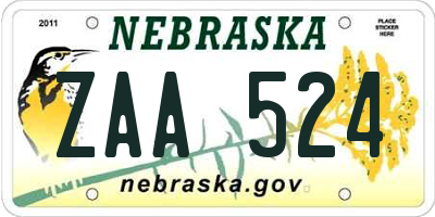 NE license plate ZAA524