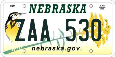 NE license plate ZAA530